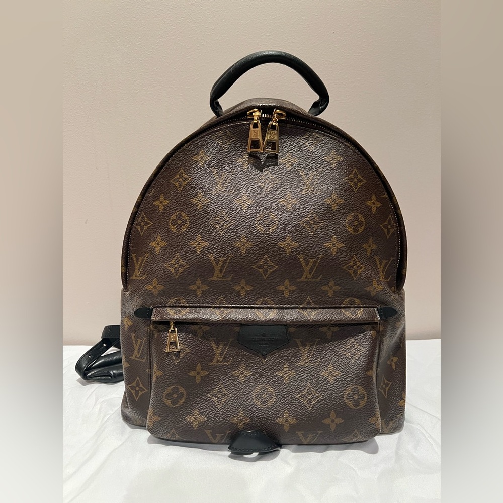 Louis Vuitton Palm Springs mm backpack